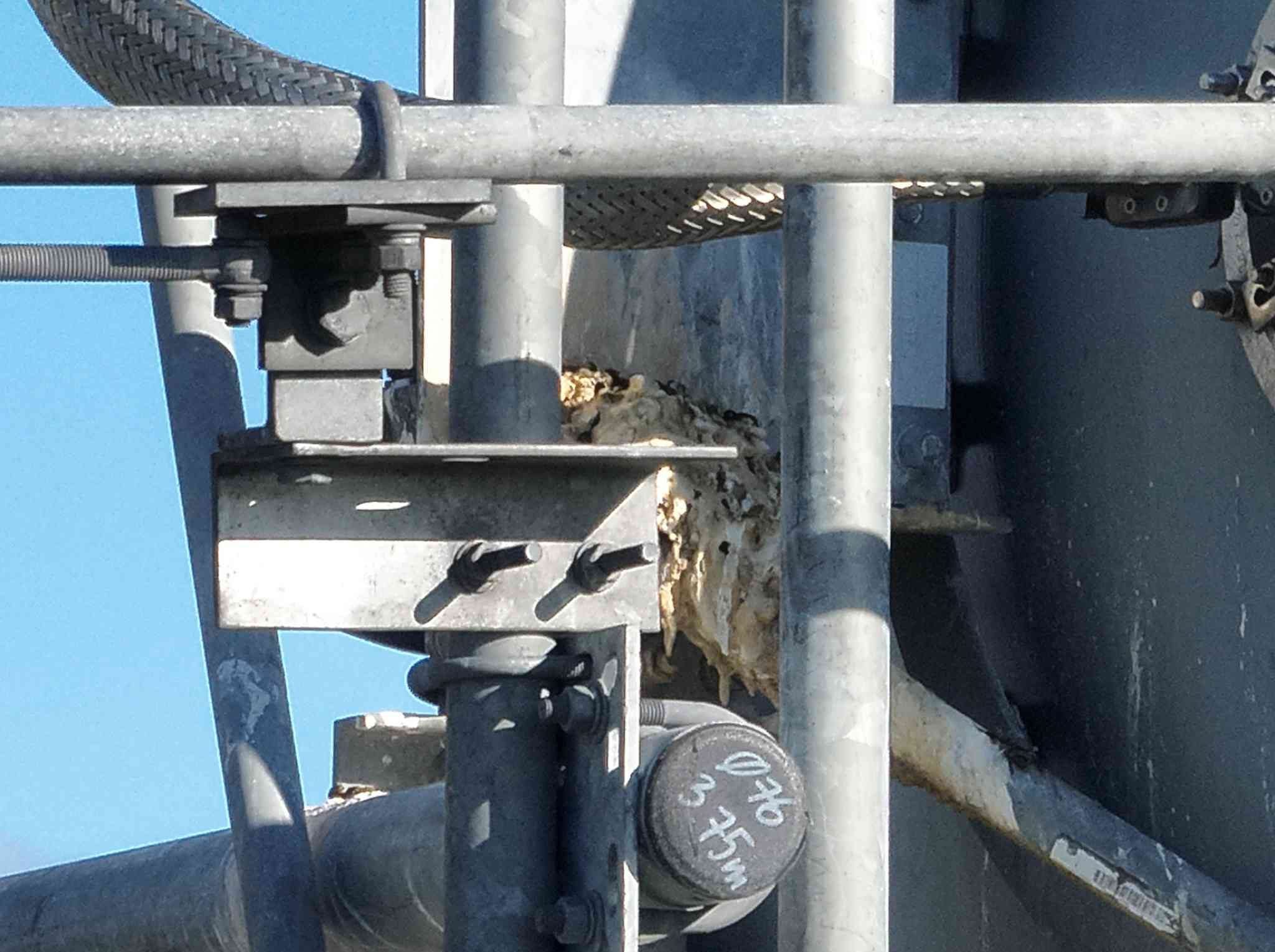 Drone identifies issues that could lead to asset failure.