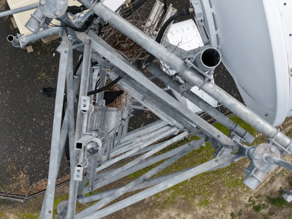 Bird Nesting In Comms Tower